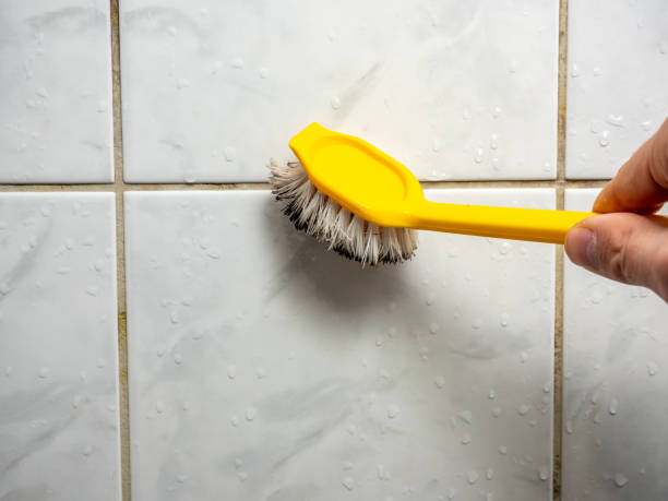 Best Professional Mold Removal  in West Belmar, NJ