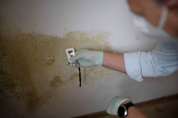 Water Damage Restoration in West Belmar, NJ
